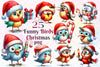 Christmas Birds Funny Birds Clipart Bundle
