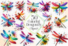 Colorful Dragonfly With Flower Clipart Bundle
