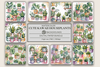 Kawaii Houseplants Background Papers
