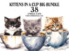 Kitten In A Cup