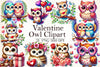 Valentine Owl Clipart Bundle