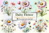 Daisy Flower Clipart Bundle 5