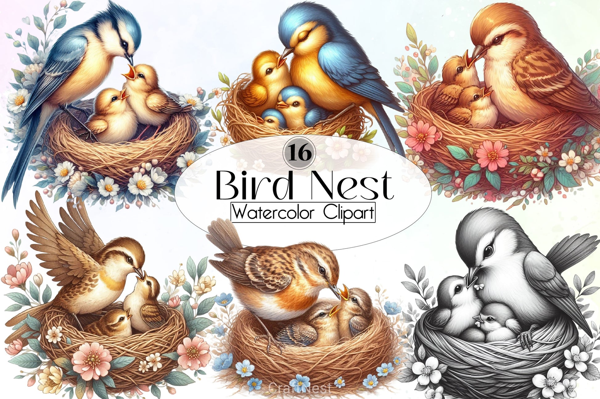Bird Nest Clipart Bundle - CraftNest - Digital Crafting and Art