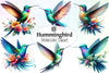 Hummingbird Clipart Bundle