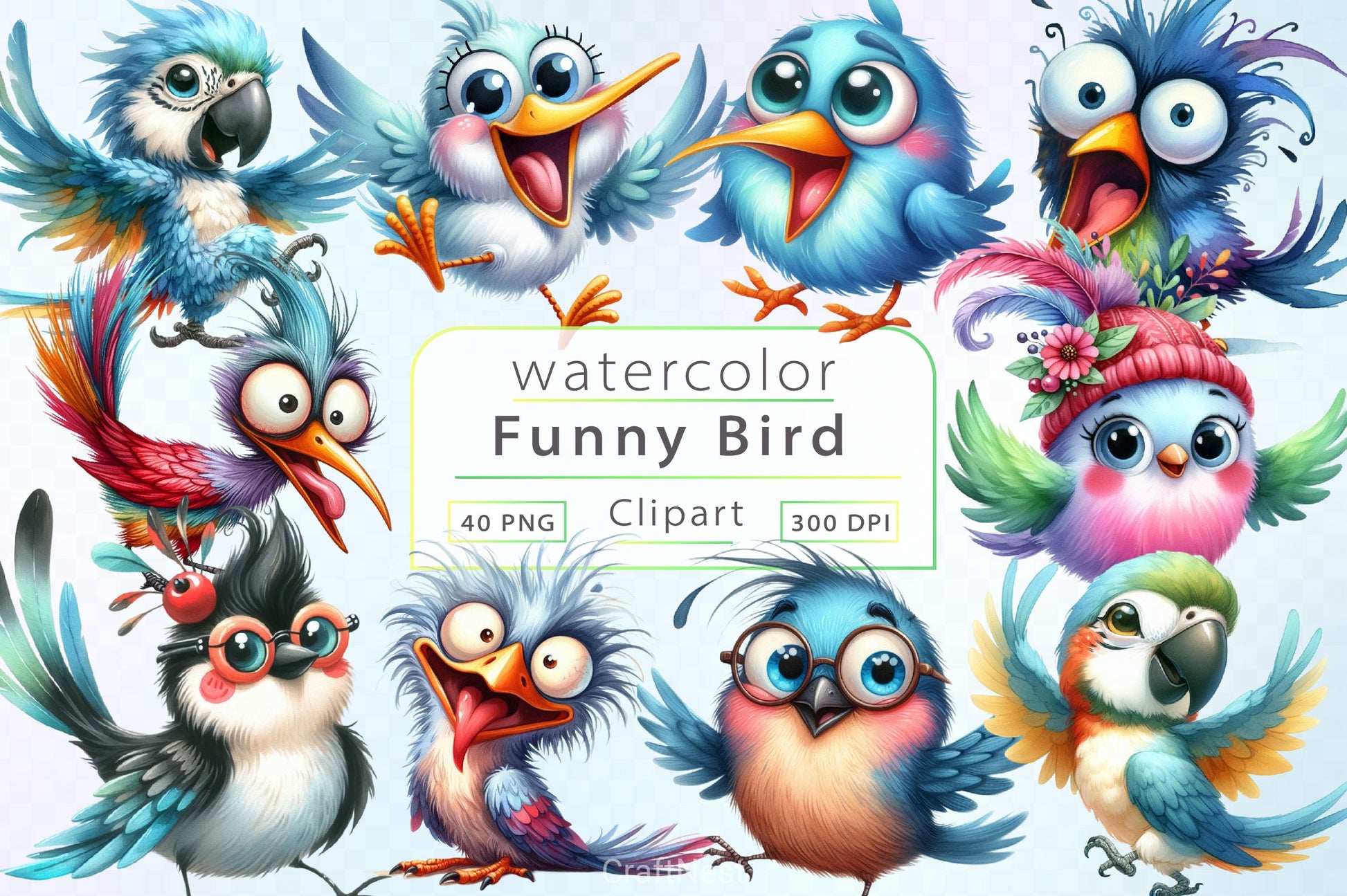 Funny Bird Clipart Bundle 4 - CraftNest - Digital Crafting and Art