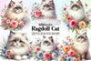 Ragdoll Cat Clipart Bundle