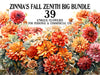Zinnia's Autumn Zenith