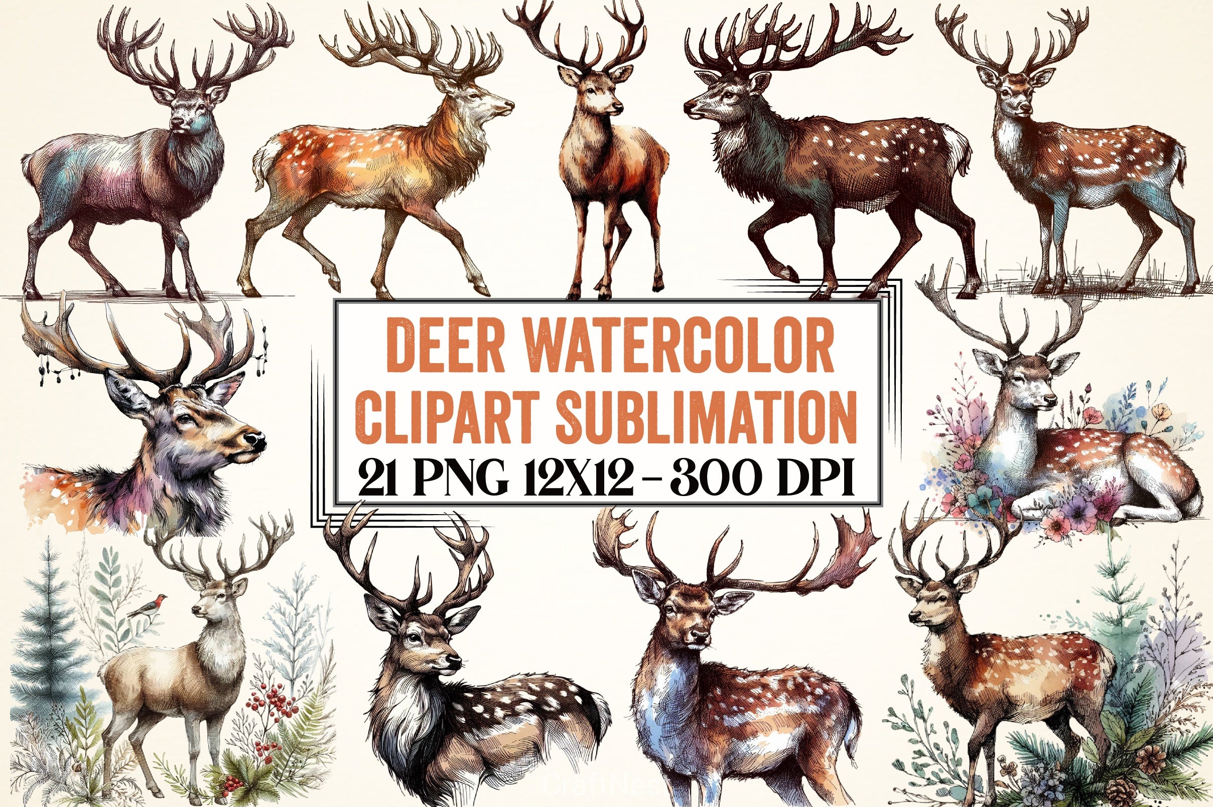 Deer Clipart Bundle - CraftNest - Digital Crafting and Art