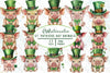 St Patricks Day Animals Clipart Bundle 2