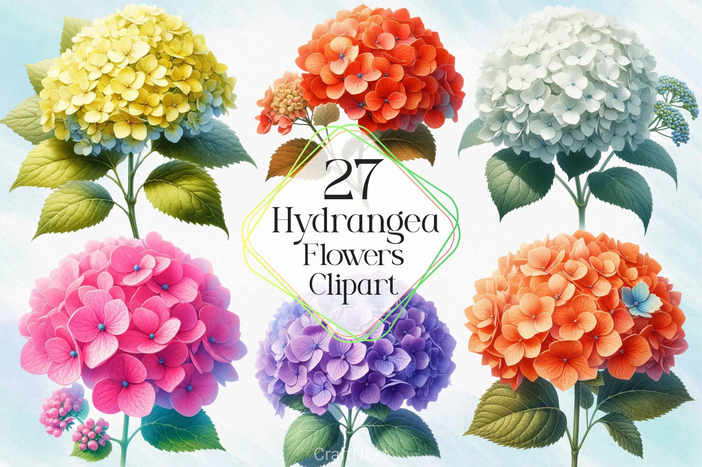 Hydrangea Flowers Clipart Bundle 6 - CraftNest - Digital Crafting and Art