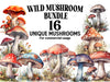 Wild Mushrooms