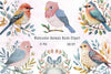Birds Clipart Bundle