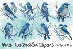 Bird Clipart Bundle 1 - CraftNest - Digital Crafting and Art