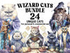Wizard Cats