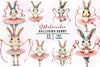Ballerina Bunny Clipart Bundle 1