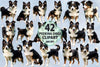 Peeking Dogs Clipart Bundle