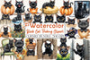 Black Cat Peeking Clipart Bundle 5