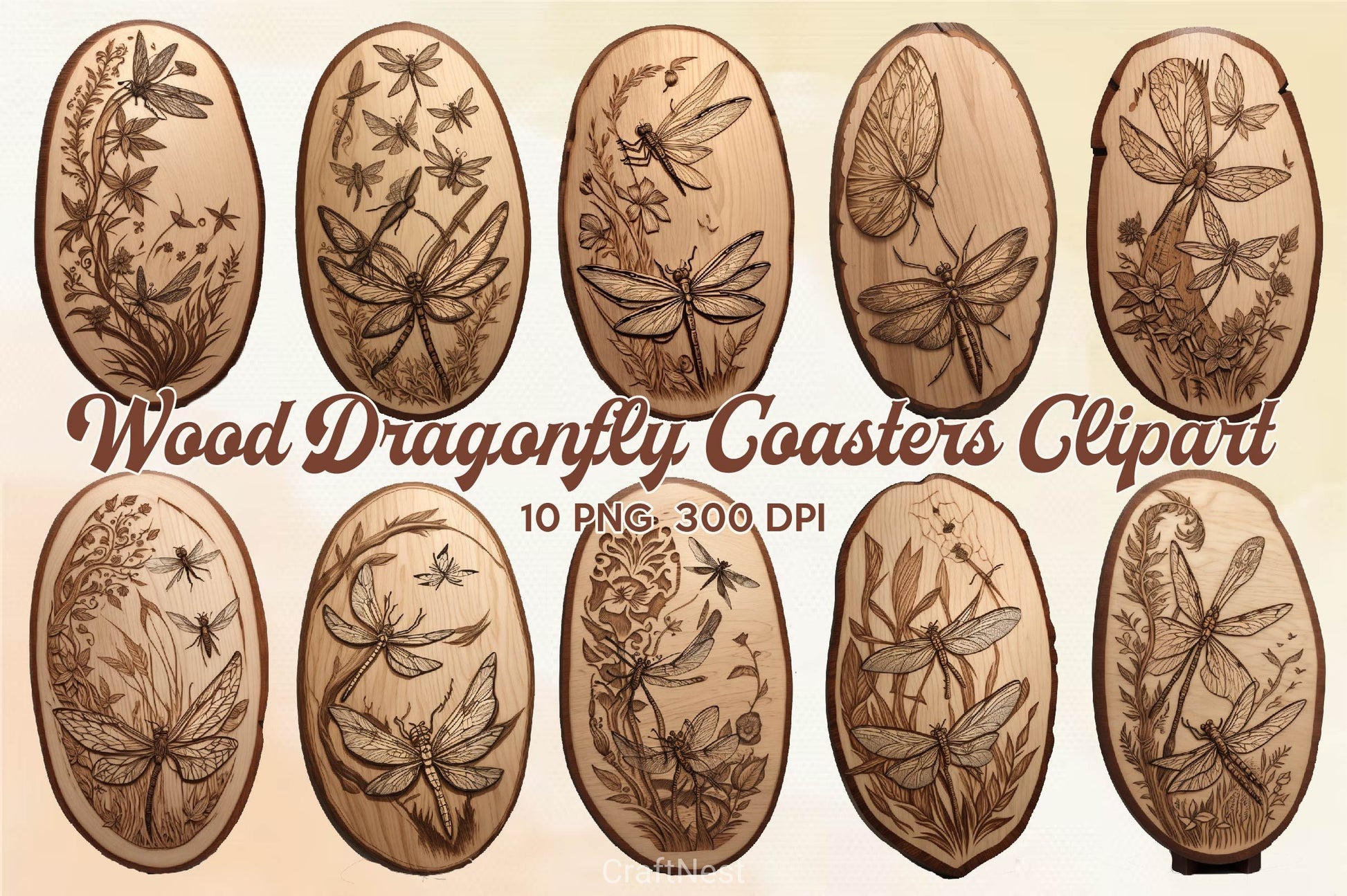 Wood Dragonfly Coasters Clipart Bundle - CraftNest - Digital Crafting and Art