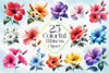 Colorful Hibiscus Clipart Bundle