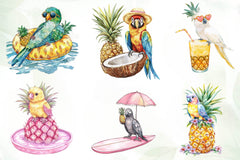 Cute Parrots & Pineapples Summer Clipart Bundle - CraftNest - Digital Crafting and Art