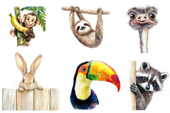 Quirky Animals Peeking Around Corner Clipart Bundle - CraftNest - Digital Crafting and Art