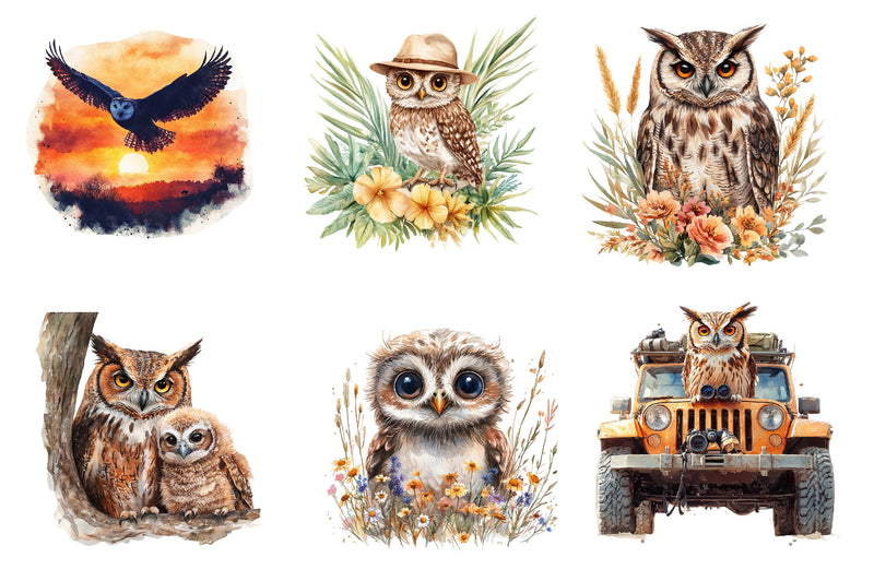 Safari Owl Clipart Bundle - CraftNest - Digital Crafting and Art
