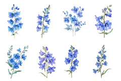 Larkspur Clipart Bundle - CraftNest - Digital Crafting and Art