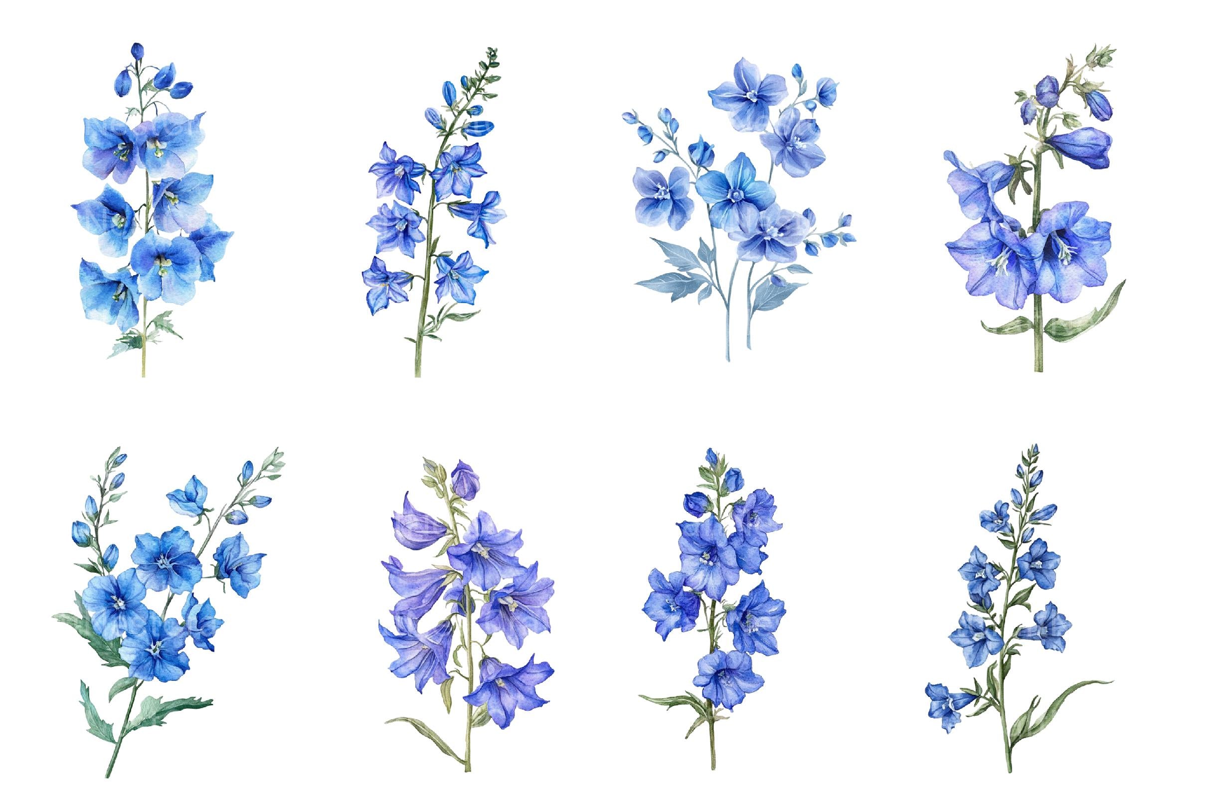Larkspur Clipart Bundle - CraftNest - Digital Crafting and Art