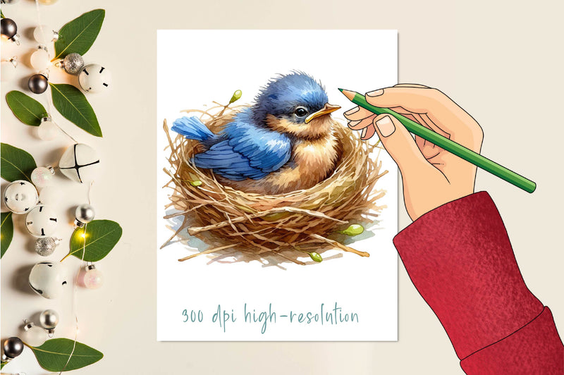 Bird Nest Clipart Bundle 1 - CraftNest - Digital Crafting and Art