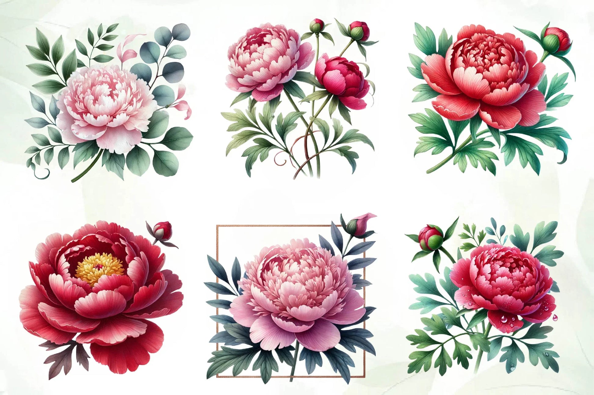Peonies Flowers Clipart Bundle - CraftNest - Digital Crafting and Art