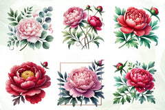 Peonies Flowers Clipart Bundle - CraftNest - Digital Crafting and Art