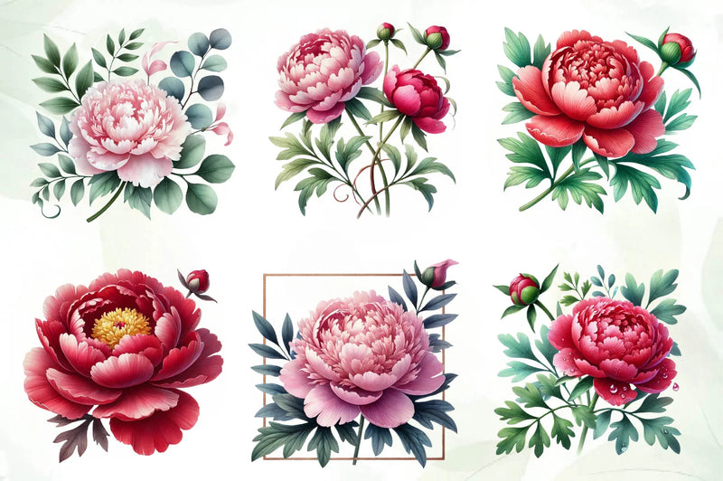 Peonies Flowers Clipart Bundle - CraftNest - Digital Crafting and Art
