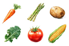 Vegetables Clipart Bundle 1 - CraftNest - Digital Crafting and Art