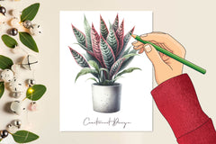 Potted Plants Clipart Bundle 1 - CraftNest - Digital Crafting and Art
