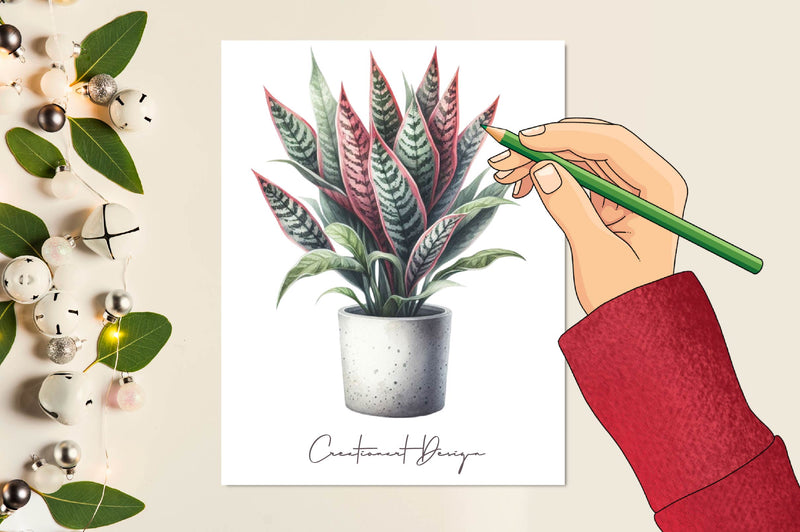 Potted Plants Clipart Bundle 1 - CraftNest - Digital Crafting and Art