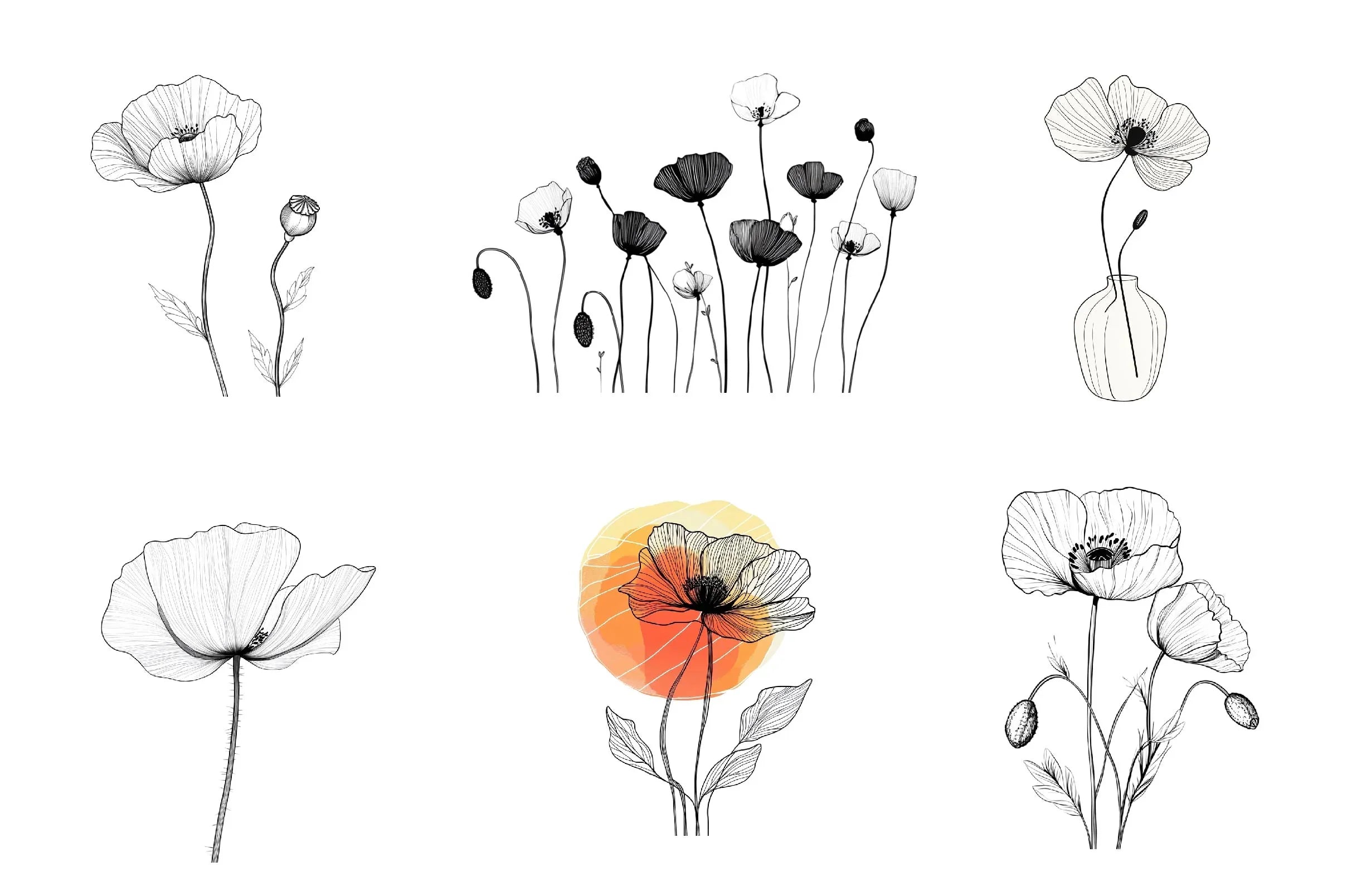 Poppy Flower Clipart Bundle - CraftNest - Digital Crafting and Art