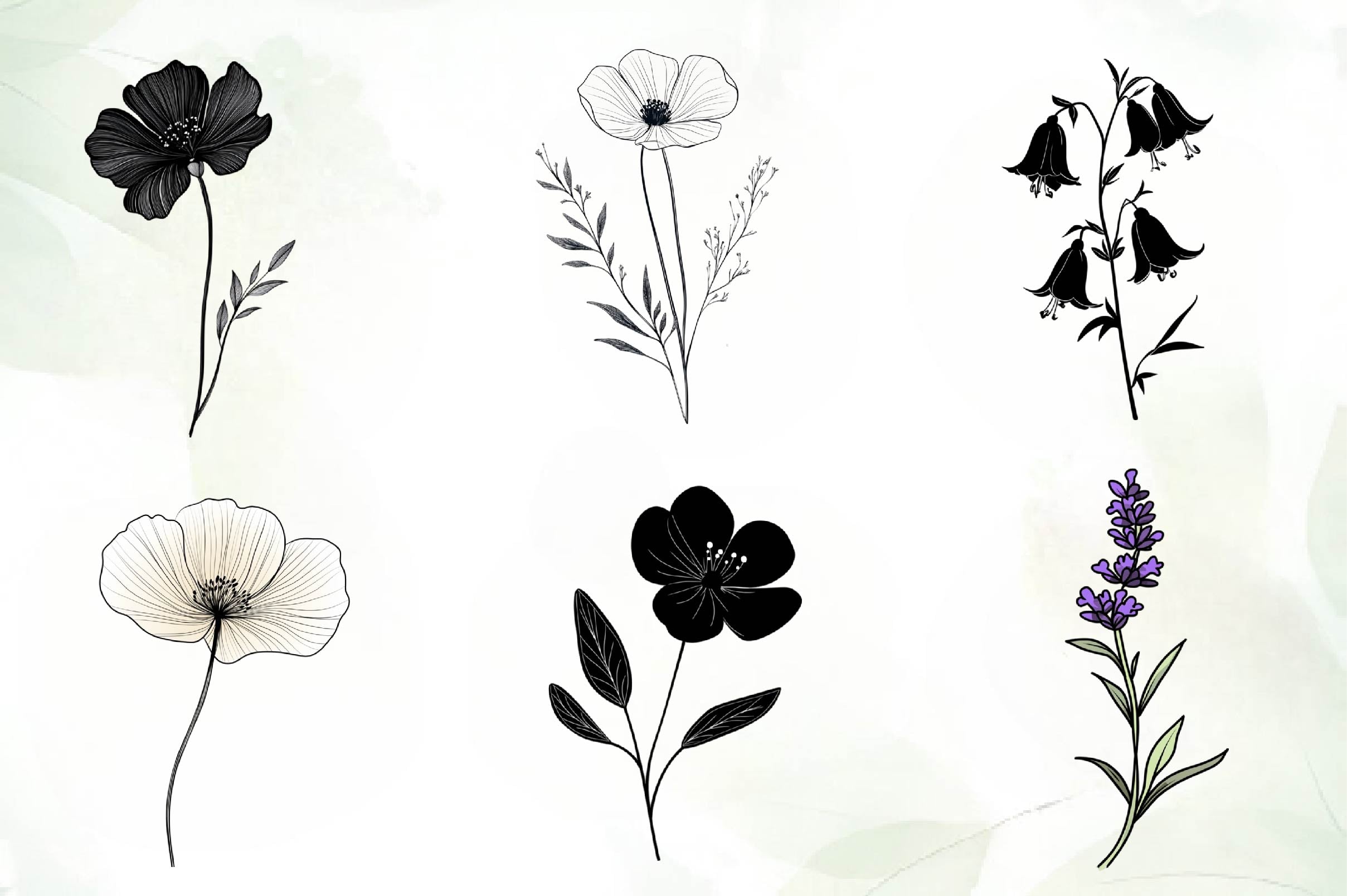 Black Wildflower Clipart Bundle - CraftNest - Digital Crafting and Art