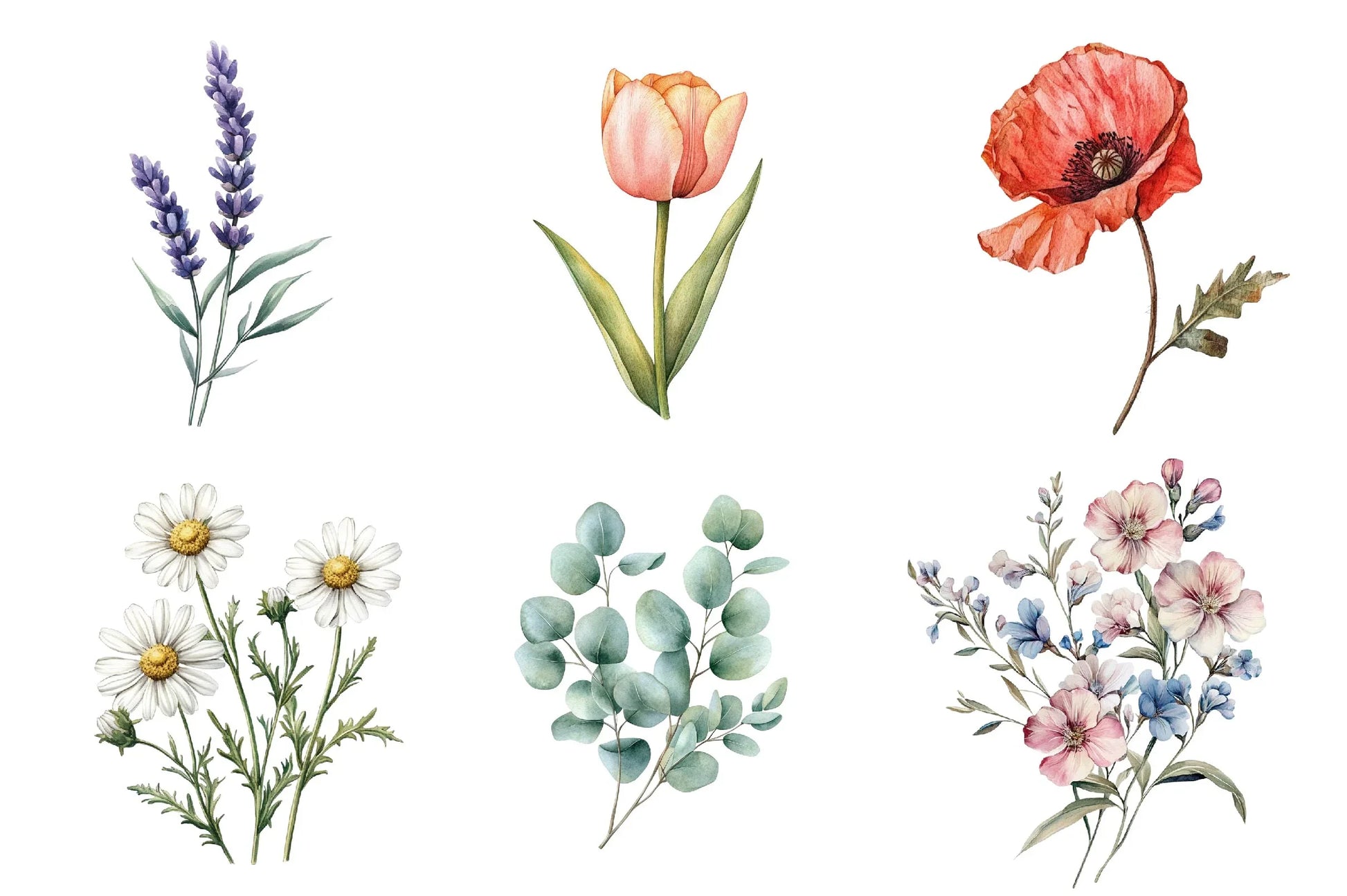 Vintage Botanical Clipart Bundle 1 - CraftNest - Digital Crafting and Art