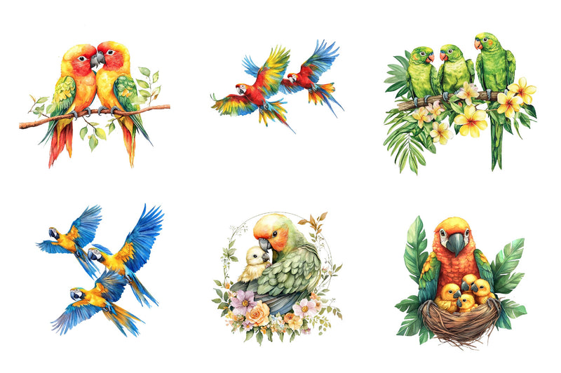 Tropical Parrot Family Clipart Bundle - CraftNest - Digital Crafting and Art