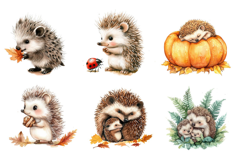 Hedgehog & Hoglet Clipart Bundle - CraftNest - Digital Crafting and Art