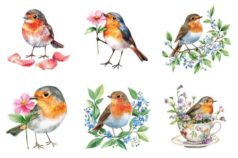 Spring Robins Clipart Bundle - CraftNest - Digital Crafting and Art