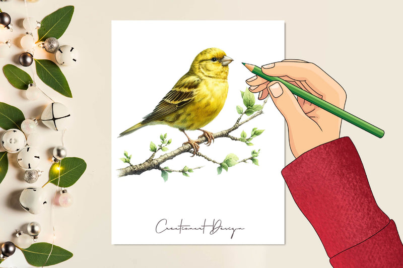 Canary Clipart Bundle - CraftNest - Digital Crafting and Art