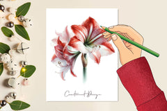 Amaryllis Clipart Bundle - CraftNest - Digital Crafting and Art