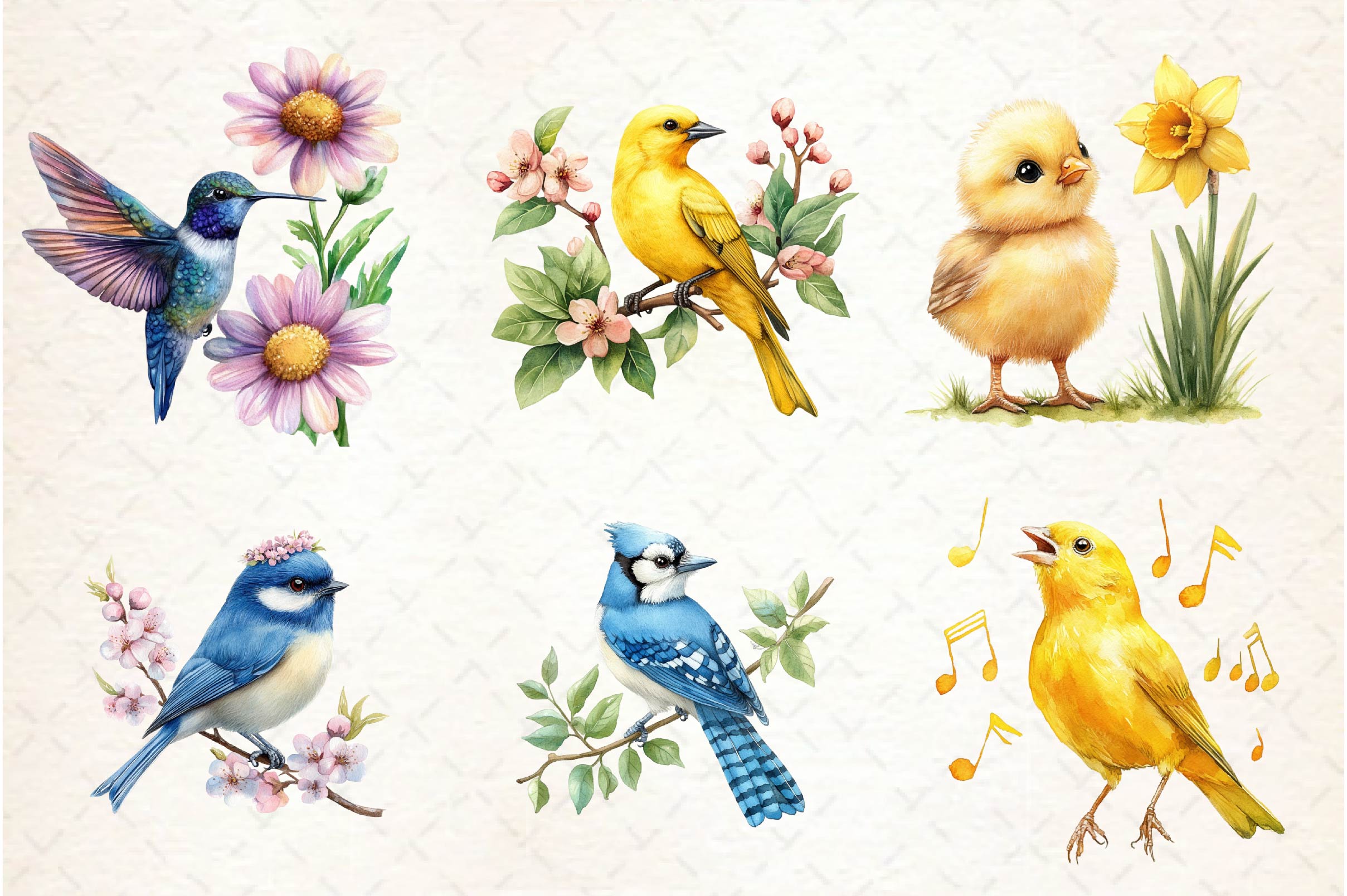 Spring Birds Clipart Bundle 1 - CraftNest - Digital Crafting and Art
