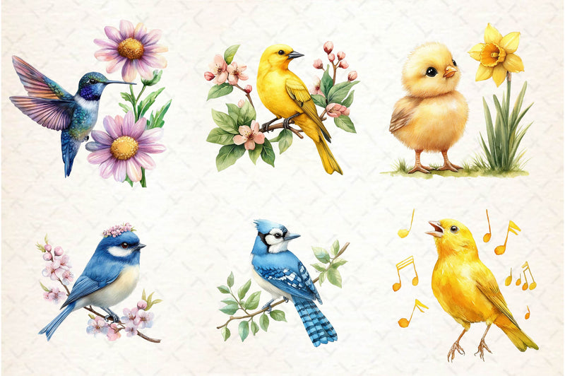 Spring Birds Clipart Bundle 1 - CraftNest - Digital Crafting and Art