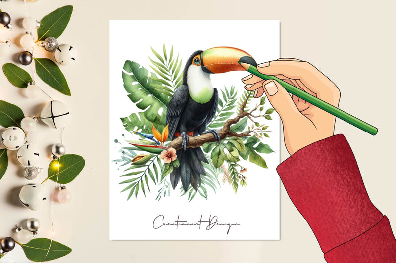 Toucans Clipart Bundle - CraftNest - Digital Crafting and Art
