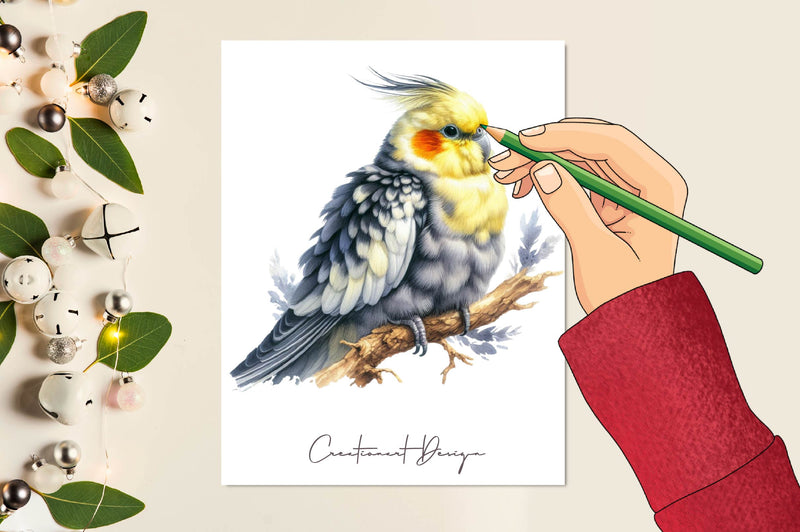 Cockatiel Clipart Bundle - CraftNest - Digital Crafting and Art