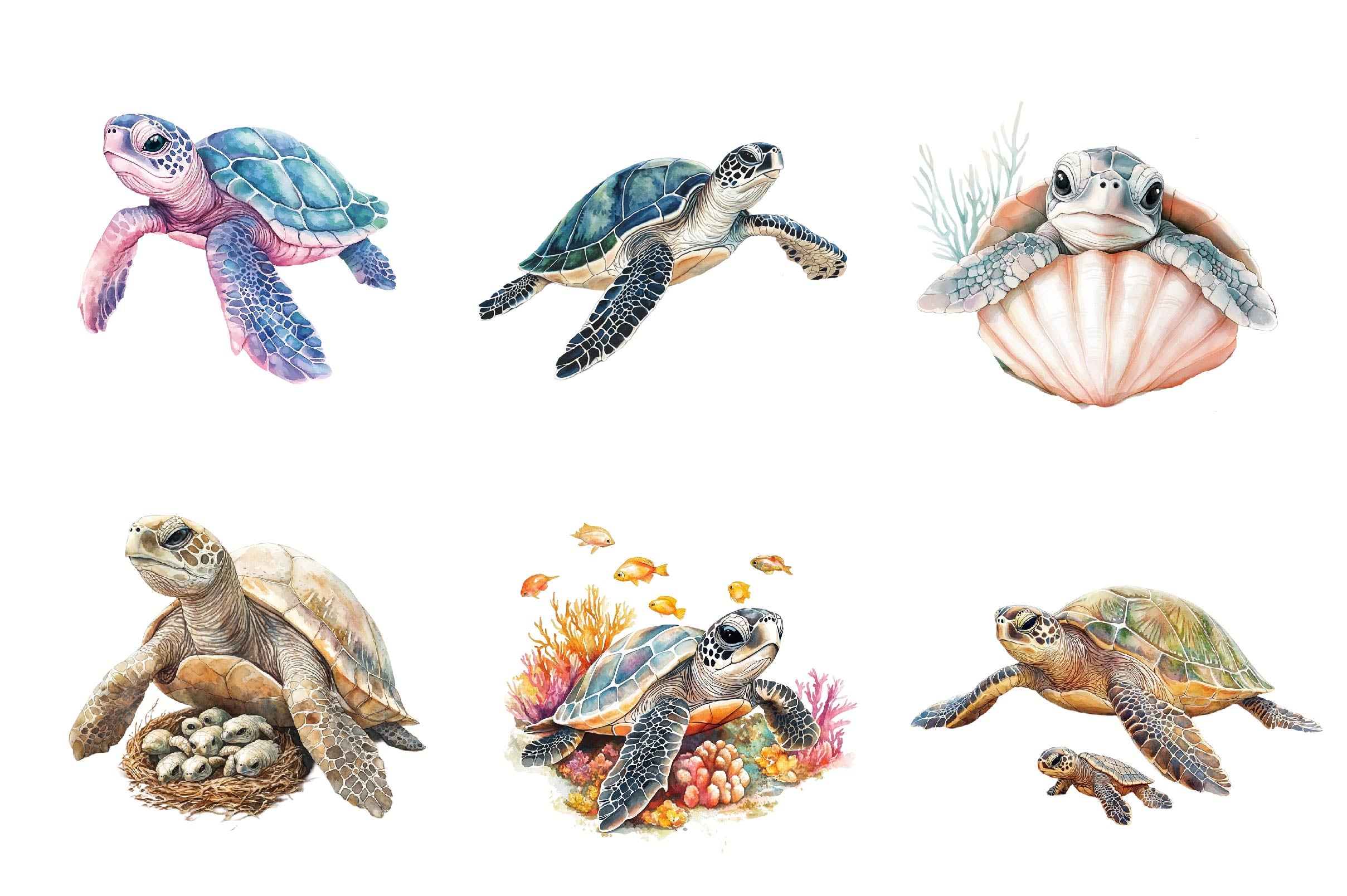 Sea Turtle & Baby Clipart Bundle - CraftNest - Digital Crafting and Art