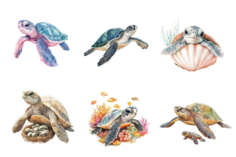 Sea Turtle & Baby Clipart Bundle - CraftNest - Digital Crafting and Art