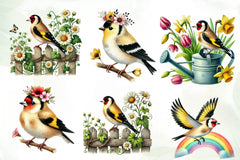 Spring Goldfinch Bird Clipart Bundle - CraftNest - Digital Crafting and Art